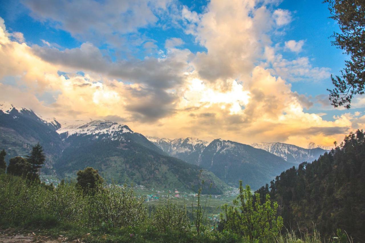Pashmina Hotel Manali  Ngoại thất bức ảnh